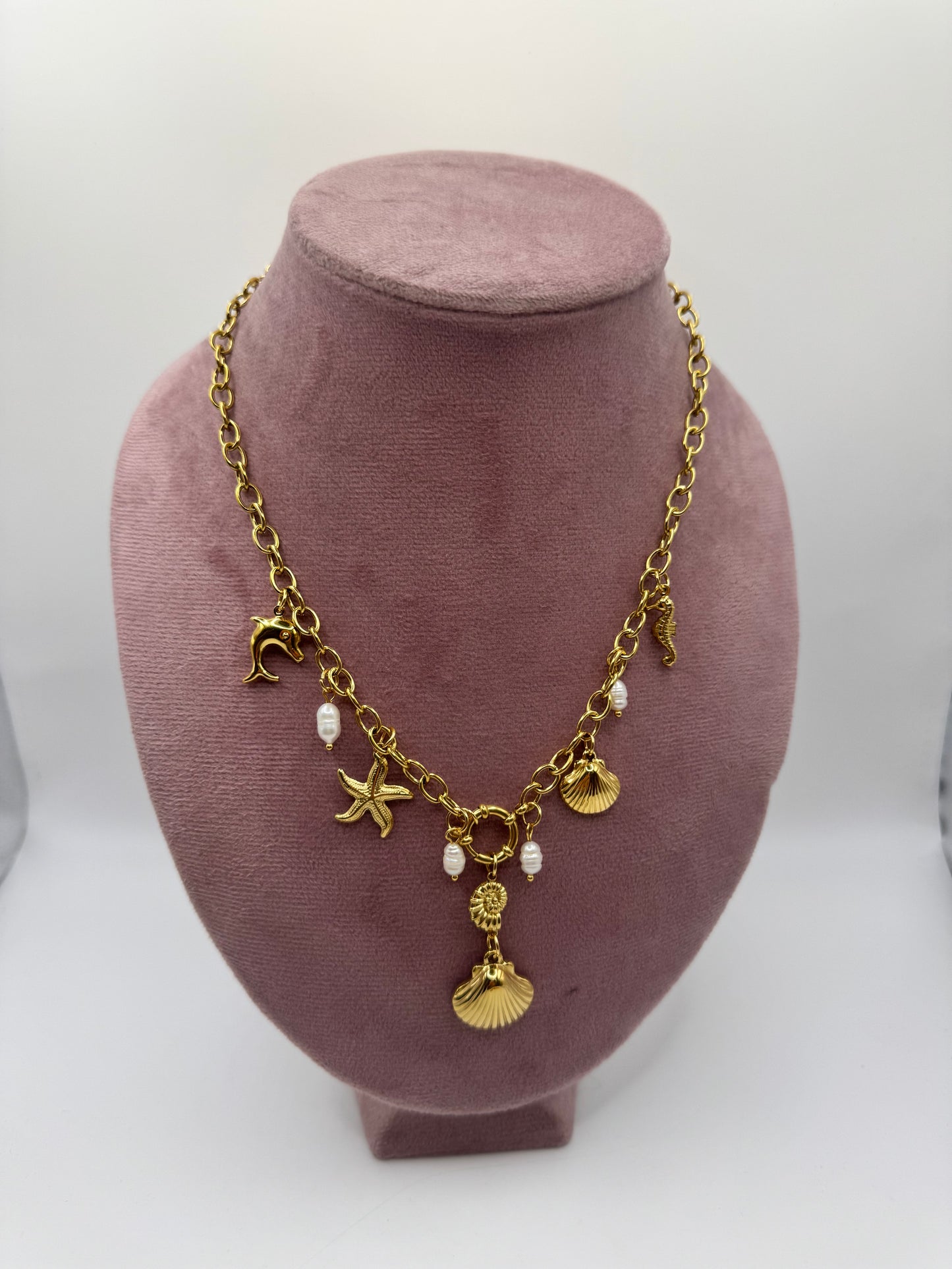 Collana Y marina