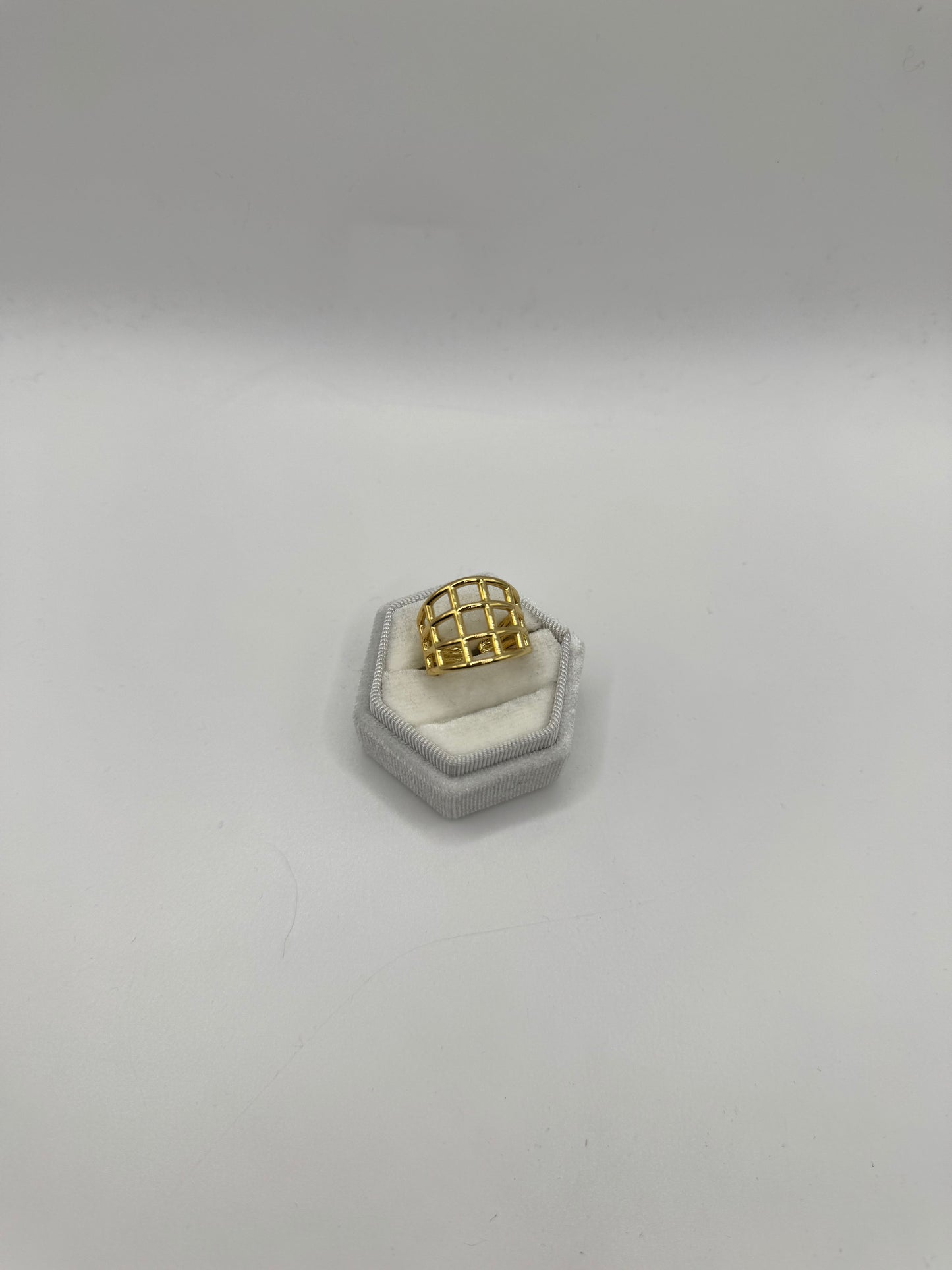 Anello griglia