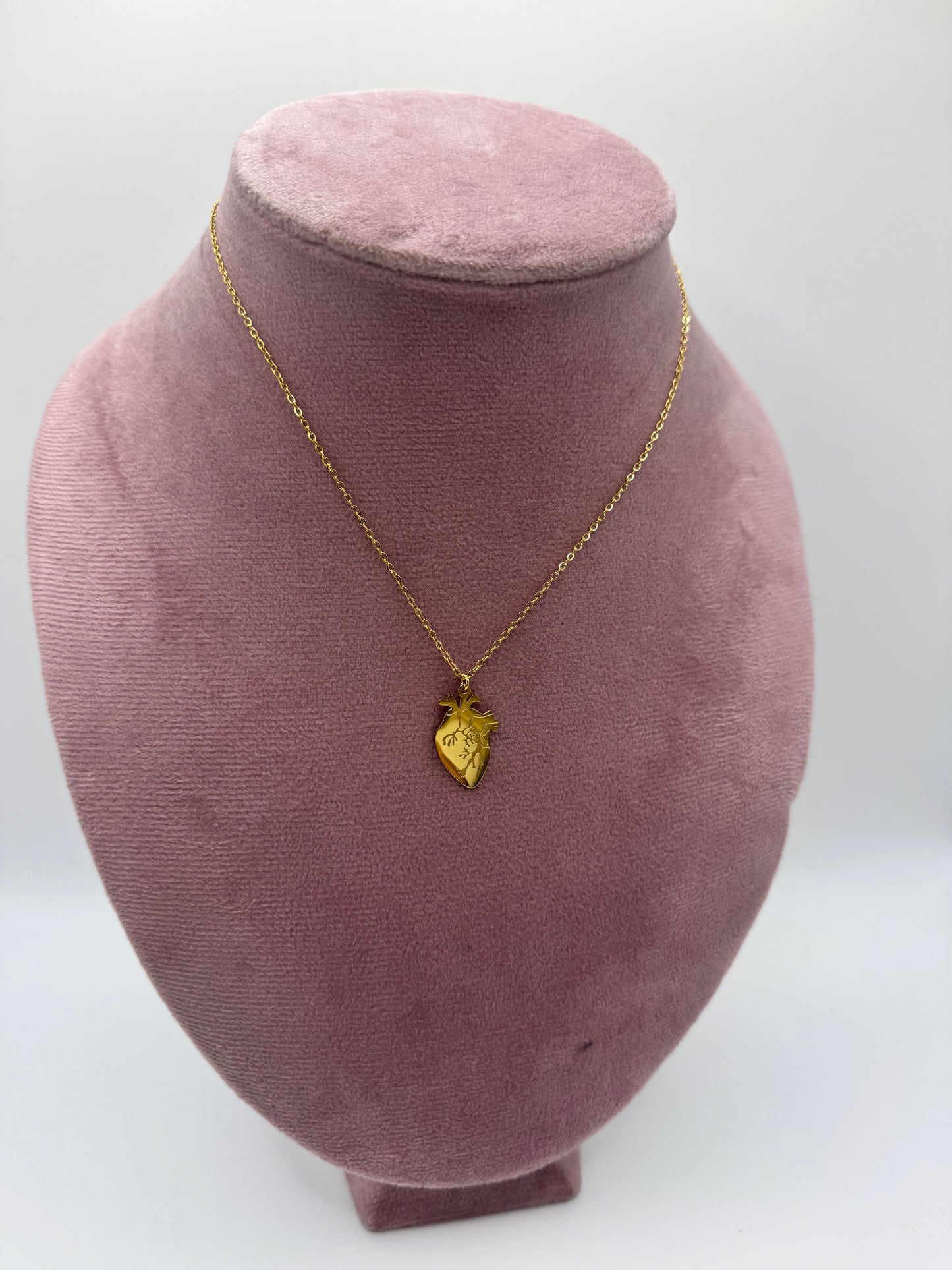 Collana Cuore anatomico