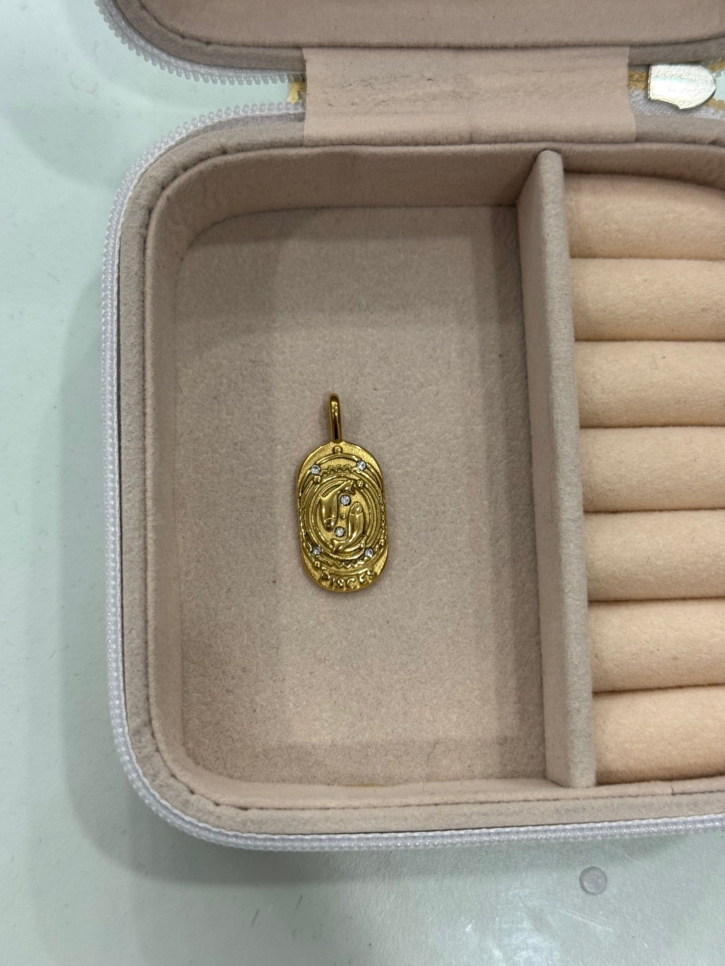 Charm segno zodiacale