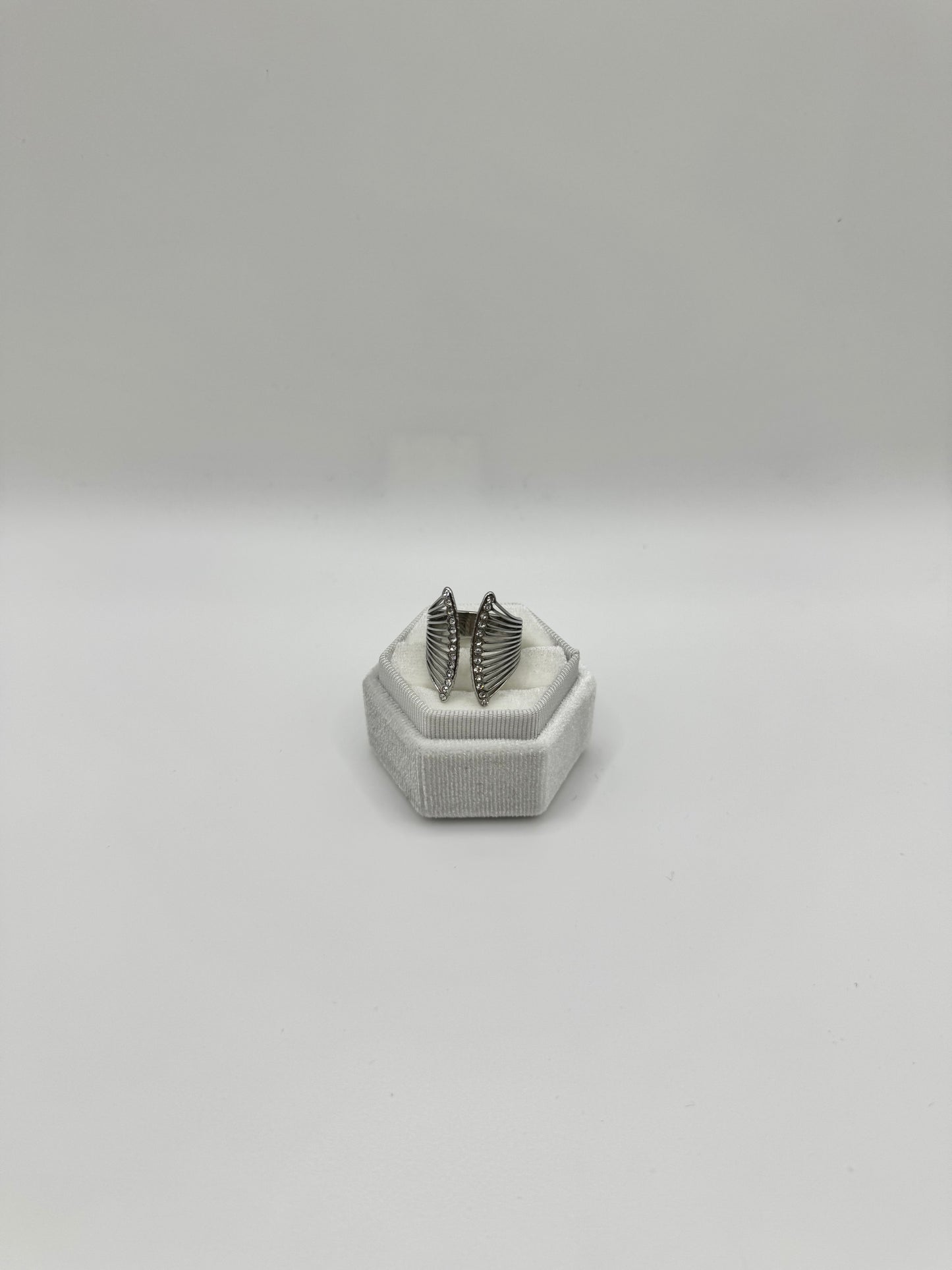 Anello ventaglio