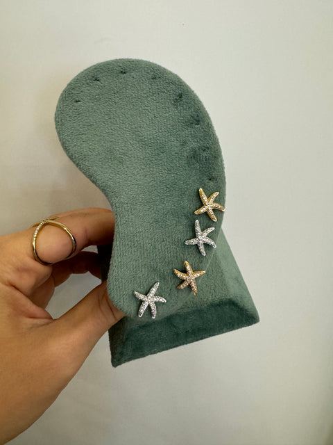 Mini stelle marine