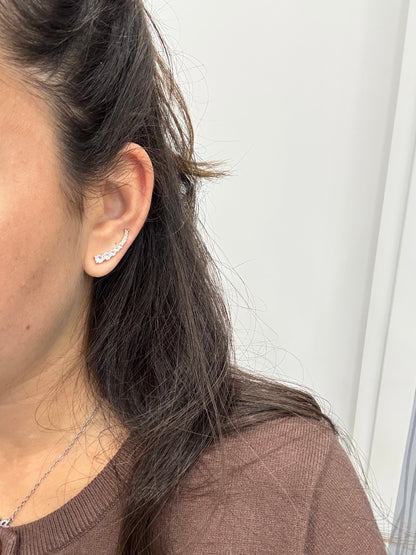 Orecchini intero lobo